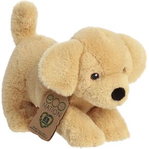Aurora - Eco Nation - 8.5 "Lays Lab
