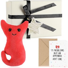 4 Pcs Appendix Surgery Plush Gift Appendix Surgery Get Well Cards with Envelope Beige Box for Appendectomy Removal Get Well Gifts