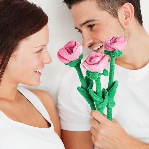 18 PCS Plush Rose Flower Flower محشوة بالثني ، لعبة باقة باقة ، ناعمة الأزهار 12.6 بوصة للتخرج 2025 عيد الأم عيد الحب فتاة صديقة للعائلة والأصدقاء (سلسلة وردية) in Saudi Arabia