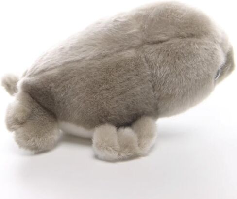 8 Inch White Sea Lion Plush Toy Stuffed Animal in Kuwait