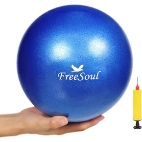 Small Pilates Ball with Pump 9 Inch Mini Bender Ball for Stability Pilates Yoga Barre Physical Therapy Core Training