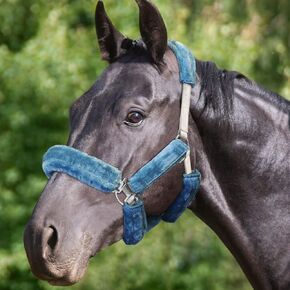 Harrison Howard Horse Halter Fleece Cover Set 9 Pieces