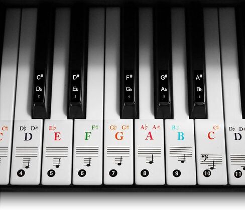 Piano Key Stickers, Piano Keyboard Stickers for 88/61/54/49/37 Key, Multi-Color, Transparent and Removable, Colorful Large Bold Letter Piano Stickers Perfect for Kids Learning Piano in Saudi Arabia