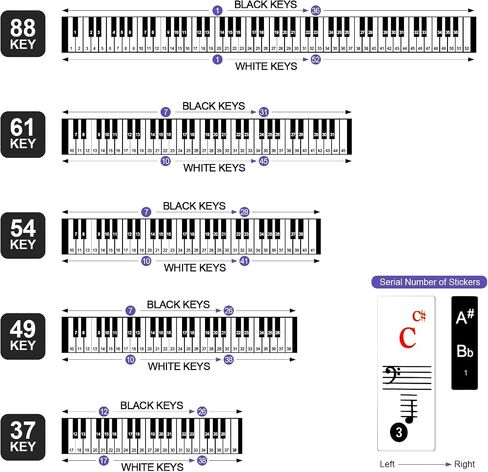 Piano Key Stickers, Piano Keyboard Stickers for 88/61/54/49/37 Key, Multi-Color, Transparent and Removable, Colorful Large Bold Letter Piano Stickers Perfect for Kids Learning Piano in Saudi Arabia