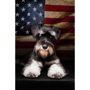 Miniature Schnauzer Jigsaw Puzzle للبالغين 500 قطعة خشبية لغز الفن DIY هدية متعة متعة هدية تعليمية ديكور المنزل