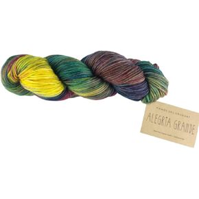 Alegria Grande AG8855 Pindo, 100 gram, Hand Dyed Knitting Yarn