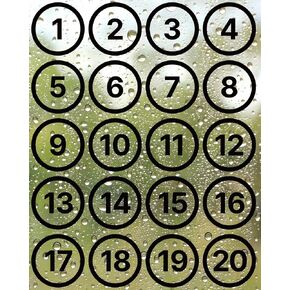 dealzEpic - Transparent Stickers of Numbers 1 to 20 - Clear Adhesive Decals for Glass Door or Window - 4.5cm Round Black Numbers with Outer Circle in Saudi Arabia