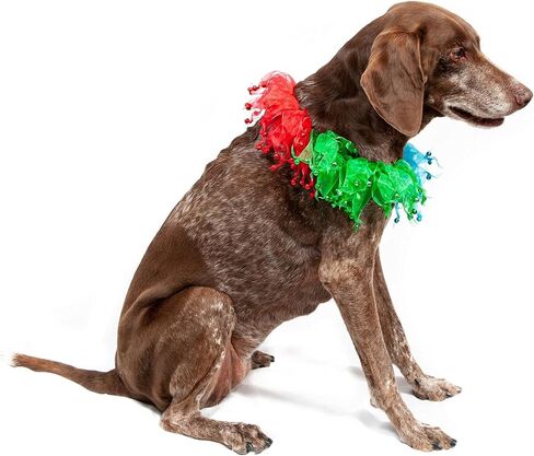 Midlee Rainbow Decorative Dog Collar (Small) in Saudi Arabia