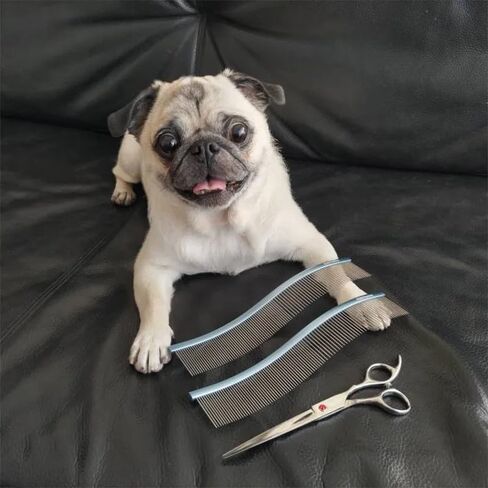 S-Curved Dog Grooming Comb, Dog Combs for Grooming Matting, Doodle Brush, Dematting Comb for Dogs, Dog Grooming Tools, Pet Comb, Metal Dog Grooming Comb, Dog Detangler Brush, Dog Dematting in Saudi Arabia