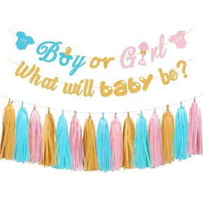 ديكورات تكشف بين الجنسين - لافتة أو فتاة لامعة ، ما الذي سيكون BABY BE BANNER و TASSEL GARLAND لـ Baby Shower Conflications Decortings Party