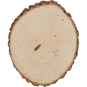 Walnut Hollow Basswood Round Extra Large with Live Edge Wood (Pack of 6) - for Wood Burning, Home Décor, and Rustic Weddings