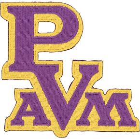 Desert Cactus Prairie View A & M University Patch - الحديد المطرز على/خياطة على التزيين للهروب والسترات والظهر على الظهر والحقائب والقبعات والمعدات التكتيكية - الفهود (التصحيح - التصميم D)