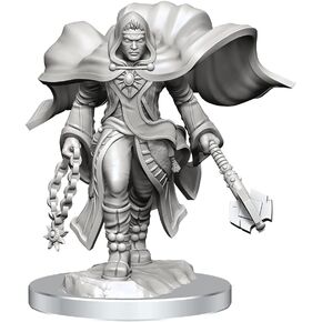 مصغرة Wizkids D & D Nolzur الرائعة: Aasimar Cleric Male