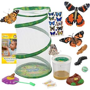 Butterfly Mini Garden Gift Set with Live Cup of Caterpillars and Butterfly Life Cycle Stages