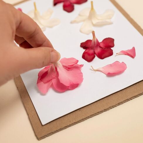 PATIKIL 6"x6" Flower Press Paper, 10 Sheet Reusable Blotting Paper for DIY Art Handicraft Scrapbook in Saudi Arabia
