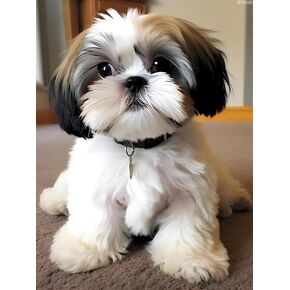 Ipissoi 5d Shih Tzu Dog Diamond Painting Kits Artible Shih Tzu Art للبالغين ، حفر كاملة جولة الفندق الهدايا ديكور جدار المنزل 12x16 بوصة