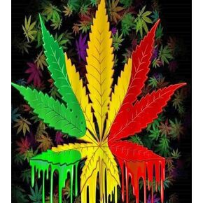 Muyankissu DIY 5D Diamond Art Numbering Kit ، Reggae Rasta Marijuana Leaf Weed ، Full Drill Art Arts Craft Canvas 12x16 Inch