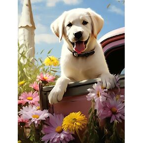QAZWSX DIY Dog Diamond Painting Kits, Labrador Retrievers 5D Diamond Painting Cute Puppy Dog Art Full Drills Crystal Rhinestone Embroidery Crafts, Home Wall Decor 12x16 inch