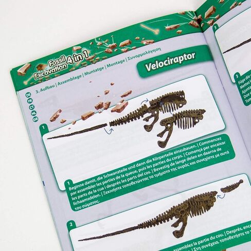 Science4you Dinosaur Fossil Exhavation Kit 4 in 1 - مجموعة الحفر الأحفورية للأطفال ، بناء 4 أحافير ديناصور ، 46 قطعة ، مجموعة علم الآثار ، مجموعة الصيد - ألعاب الديناصورات ، ألعاب الأولاد والبنات 6+ in Kuwait