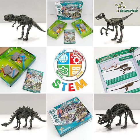 Science4you Dinosaur Fossil Exhavation Kit 4 in 1 - مجموعة الحفر الأحفورية للأطفال ، بناء 4 أحافير ديناصور ، 46 قطعة ، مجموعة علم الآثار ، مجموعة الصيد - ألعاب الديناصورات ، ألعاب الأولاد والبنات 6+ in Kuwait