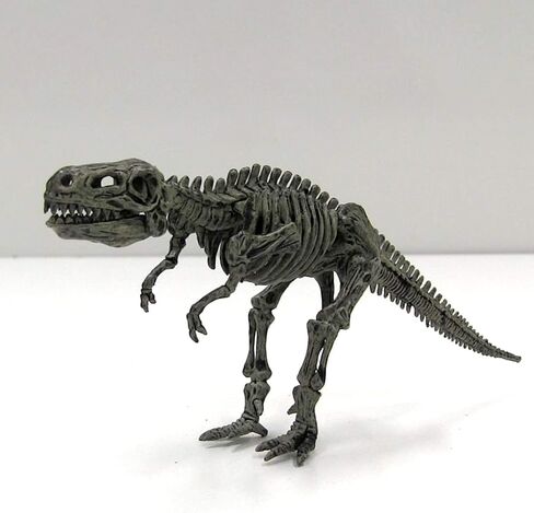 Science4you Dinosaur Fossil Exhavation Kit 4 in 1 - مجموعة الحفر الأحفورية للأطفال ، بناء 4 أحافير ديناصور ، 46 قطعة ، مجموعة علم الآثار ، مجموعة الصيد - ألعاب الديناصورات ، ألعاب الأولاد والبنات 6+ in Kuwait