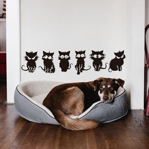 FINGERINSPIRE Frizzy Cat Large Stencil 11.8x11.8inch Cartoon Cat Painting Stencils Fierce Kitten Stencils Angry Kitten Templates Cute Kitten Drawing Templates for Wall Fabric Tiles Floor Paper Wood in Saudi Arabia