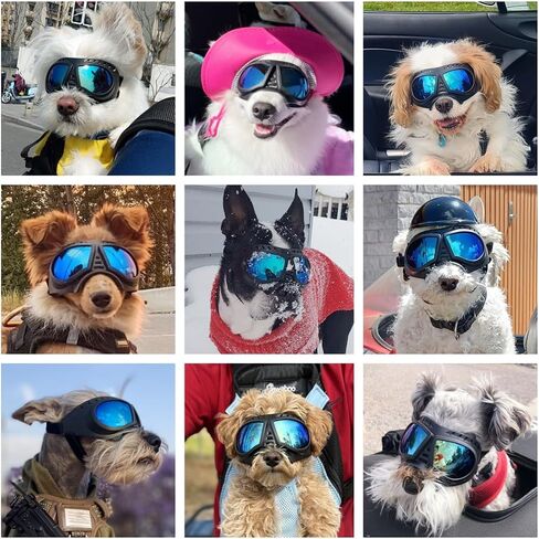 نظارات Namsan Dog Predre الصغيرة ، حماية الأشعة فوق البنفسجية ، نظارات شمسية للكلاب الصغيرة إلى المتوسطة ، وحماية للعين الكلب الناعمة ، ومكافحة الثلج المضاد للرياح ، وأشرطة قابلة للتعديل ، والعدسة الفضية in Kuwait