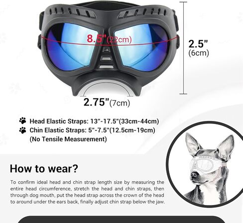 نظارات Namsan Dog Predre الصغيرة ، حماية الأشعة فوق البنفسجية ، نظارات شمسية للكلاب الصغيرة إلى المتوسطة ، وحماية للعين الكلب الناعمة ، ومكافحة الثلج المضاد للرياح ، وأشرطة قابلة للتعديل ، والعدسة الفضية in Kuwait
