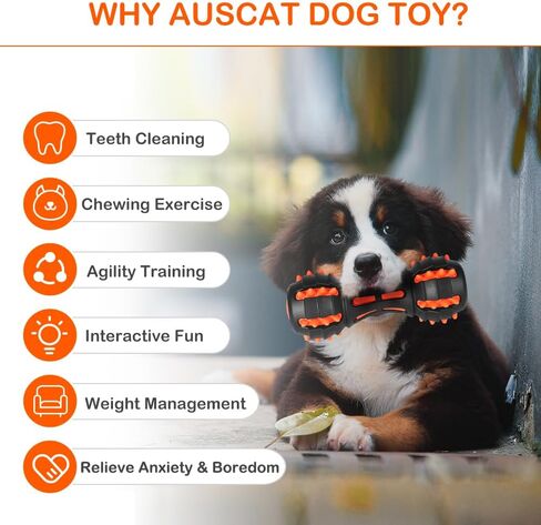 AUSCAT Dog Squeaky Toys, Squeaky Toys for Dogs, Teething Chew Toys for Medium Large Breed, Durable Rubber Dog Toy, Dumbbell Shape, Black in Saudi Arabia