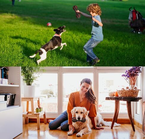 AUSCAT Dog Squeaky Toys, Squeaky Toys for Dogs, Teething Chew Toys for Medium Large Breed, Durable Rubber Dog Toy, Dumbbell Shape, Black in Saudi Arabia