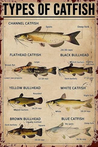 الصيد بانوراما للألغاز 500 قطعة للبالغين - لعبة الأسماك في المياه العذبة نوع من المعرفة الأسماك أحذية خشبية ممتع in Kuwait