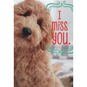 Heartline by Hallmark I miss you, thinking of you greeting card