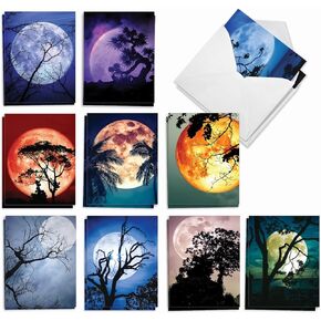The Best Card Company - 20 Landscape Nature Note Cards Blank (4 x 5.12 Inch) (10 Designs, 2 Each) - Blooming Sunsets AM9263OCB-B2x10