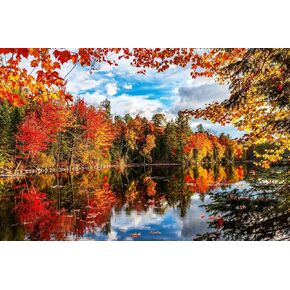 SPRINGBOK Autumn Lake - 1500 قطعة بانوراما للألغام للبالغين - صنع في الولايات المتحدة الأمريكية