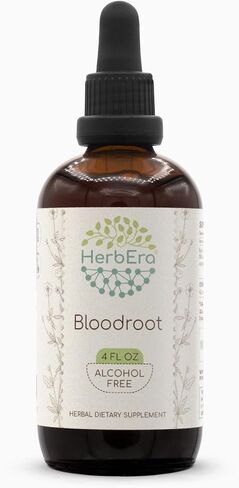 صبغة HerbEra Bloodroot B60، مستخلص خالٍ من الكحول، جذر الدم المزروع بشكل مسؤول فائق التركيز (Sanguinaria Canadensis) الجذر المجفف (2 أونصة سائلة) in Kuwait