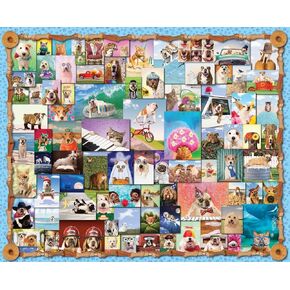 Springbok's 1000 قطعة Jigsaw Puzzle Animal Quackers - مصنوعة في الولايات المتحدة الأمريكية