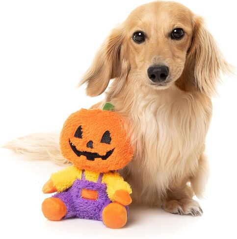 Fuzzyard Jack-O Pumpkin Head Plush Halloween Dog Toy for All Sized Breeds (Small, Jack-O Chan) in Saudi Arabia