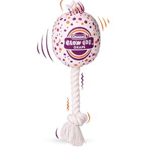Blow Pop Plush & Rope Dog Toy - Plush Scated Scated With Dating Rope Stick - Tug ، Fetch & Chew Toy للكلاب - متوفرة بأحجام جامبو ومتوسطة - Apple ، Cherry ، Grape & Watermelon