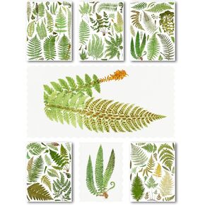 حزمة ورق decoupage (15 ورقة 8 "x11") سرخس يترك كتابًا عتيقًا من كتاب "نقش" توضيح Hanataba عتيق التصميم