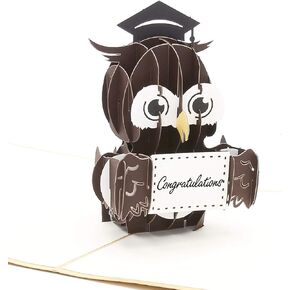 Liif Graduation Owl 2024 3D Pop Up Graduation Card, Class of 2024