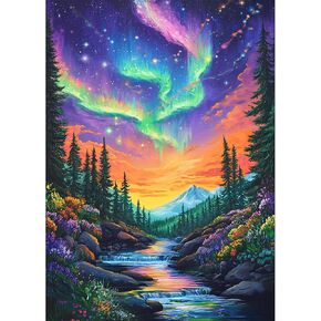 Heibago Aurora Diamond Painting Kits للبالغين - مجموعات فنون فورست الماس للمبتدئين للبالغين ، و Night Starry Night Full Round Gem Crystal Art Paint by Diamond ، و Decore Home Wall Decor 12 × 16 في