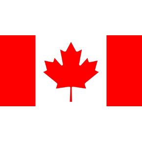 Set of 5 Canadian Flag Iron on Screen Print Fabric Applique Machine Washable Transfer Canada