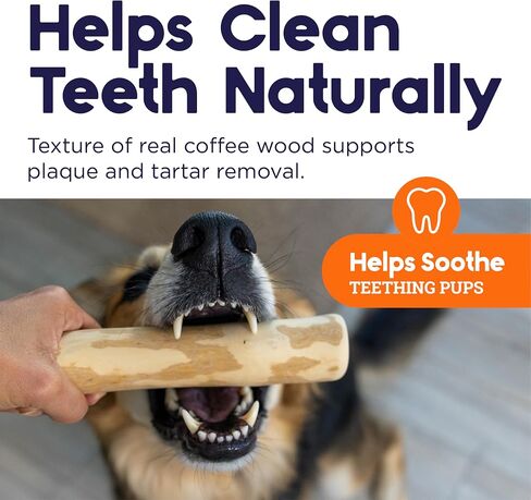 Petstages Coffee Wood Dog Chew Stick - Natural Wood Chew Toy for Light to Moderate Chewers & Indoor Use, Sustainably Sourced, Caffeine-Free, Textured, Medium in Saudi Arabia
