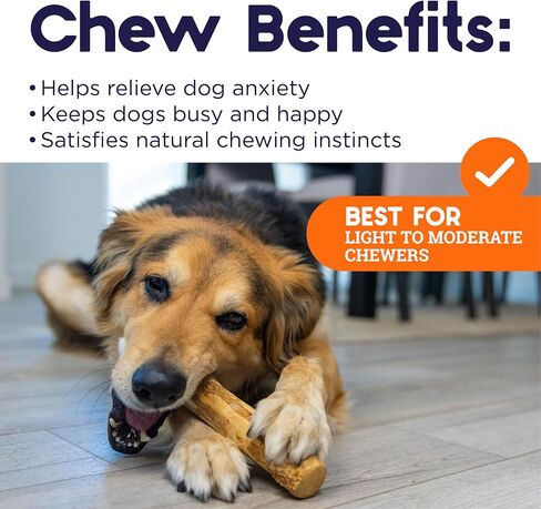 Petstages Coffee Wood Dog Chew Stick - Natural Wood Chew Toy for Light to Moderate Chewers & Indoor Use, Sustainably Sourced, Caffeine-Free, Textured, Medium in Saudi Arabia