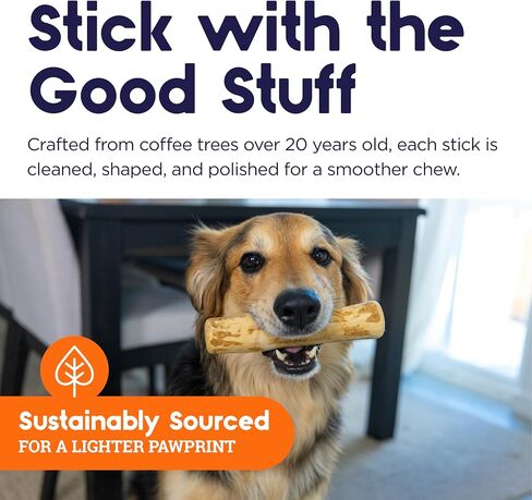 Petstages Coffee Wood Dog Chew Stick - Natural Wood Chew Toy for Light to Moderate Chewers & Indoor Use, Sustainably Sourced, Caffeine-Free, Textured, Medium in Saudi Arabia