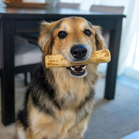Petstages Coffee Wood Dog Chew Stick - Natural Wood Chew Toy for Light to Moderate Chewers & Indoor Use, Sustainably Sourced, Caffeine-Free, Textured, Medium in Saudi Arabia