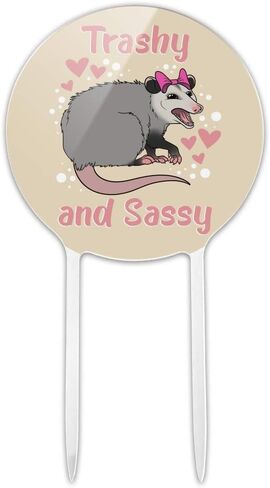 أكريليك القمامة و sassy opossum مضحك كعكة توبيبر الحفل الديكور لحفل الزفاف التخرج عيد ميلاد in Saudi Arabia