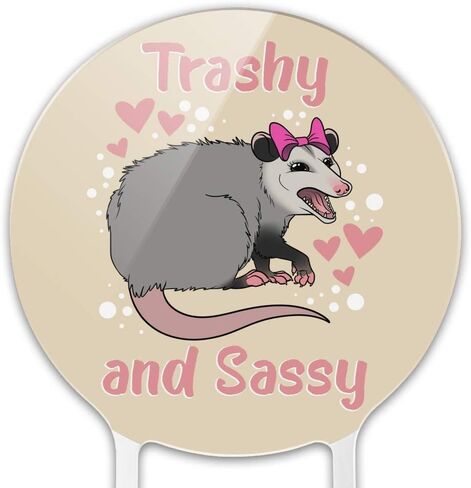 أكريليك القمامة و sassy opossum مضحك كعكة توبيبر الحفل الديكور لحفل الزفاف التخرج عيد ميلاد in Saudi Arabia