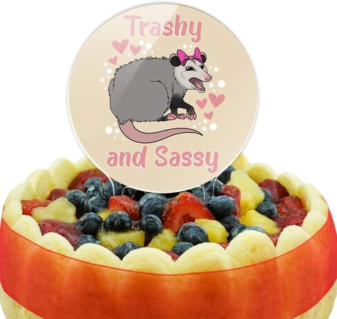 أكريليك القمامة و sassy opossum مضحك كعكة توبيبر الحفل الديكور لحفل الزفاف التخرج عيد ميلاد in Saudi Arabia