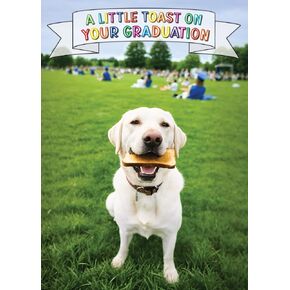 Oh, The Places You'll Go! Funny Congratulations on Your Graduation Card with Greeting Card Mailing Envelope